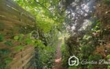 *** Nouveauté : Superbe Appartement très lumineux , refait entièrement à neuf, situé au cœur d&rsquo;un secteur recherché de la ville de Sens*** – 3 pièces – 2 chambres – 52 m²