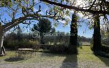 Mas de caractère de 250m2 – 6ch – sur 10000m2 au calme absolu – Cadre provençal d’exception à proximité du Golf de Pont Royal – 7 pièces – 6 chambres – 226 m²