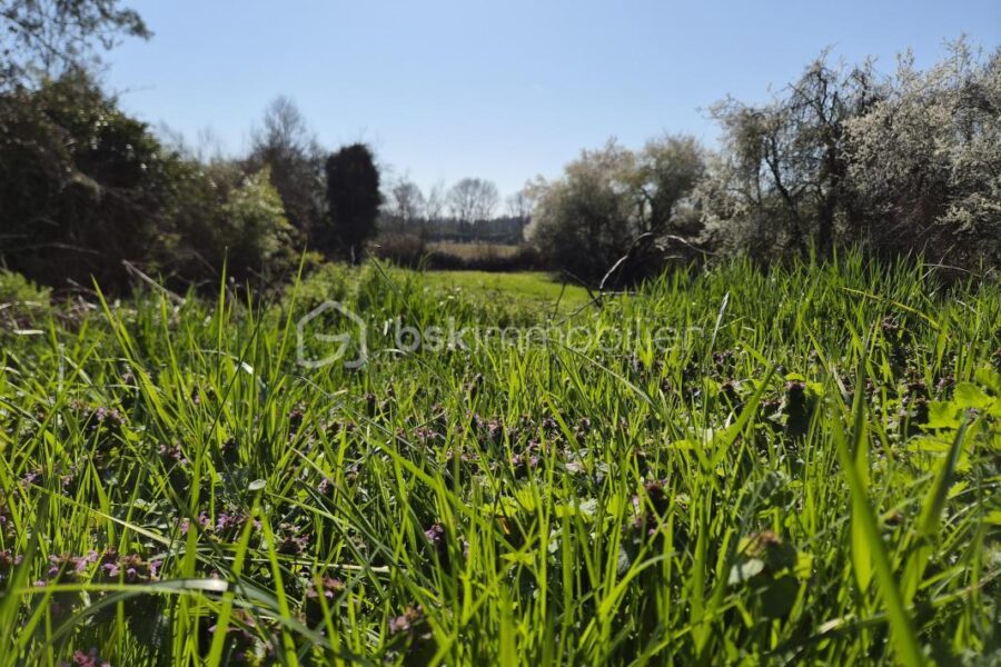Terrain à vendre à Coteaux sur loire