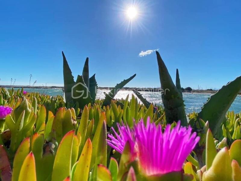Appartement à vendre à Port leucate