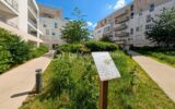 Superbe appartement 3 pièces 81m2 avec balcon dans résidence récente de standing ( possibilité de transformer en 4 pièces ) – 3 pièces – 2 chambres – 81 m²