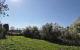 Terrain à vendre à Coteaux sur loire
