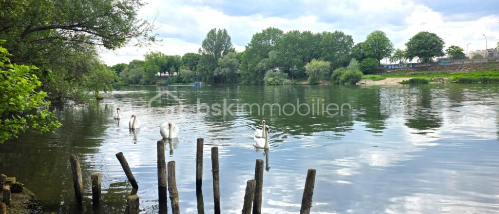 COUP DE CŒUR – BORD DE MARNE – F3 AVEC VUE PANORAMIQUE SUR LA SEINE – 3 pièces – 2 chambres – 62 m²