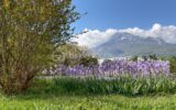 Appartement à vendre à Grenoble
