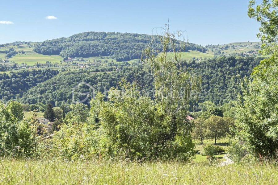 Maison à vendre à Saint geoire en valdaine