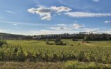 Maison à vendre à Marsannay-la-Côte — Vue nature — photo 1