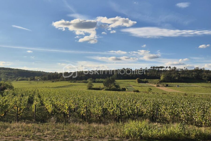 Maison à vendre à Marsannay-la-Côte — Vue nature — photo 1
