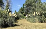 Villa 7 pièces La Colle-sur-Loup – Vue Saint-Paul-de-Vence – Maison d&rsquo;ami indépendante – 7 pièces – 5 chambres – 225 m²