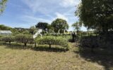Baden, Maison familiale de 150m2 5 chambres, Grand Jardin, p – 6 pièces – 5 chambres – 150 m²