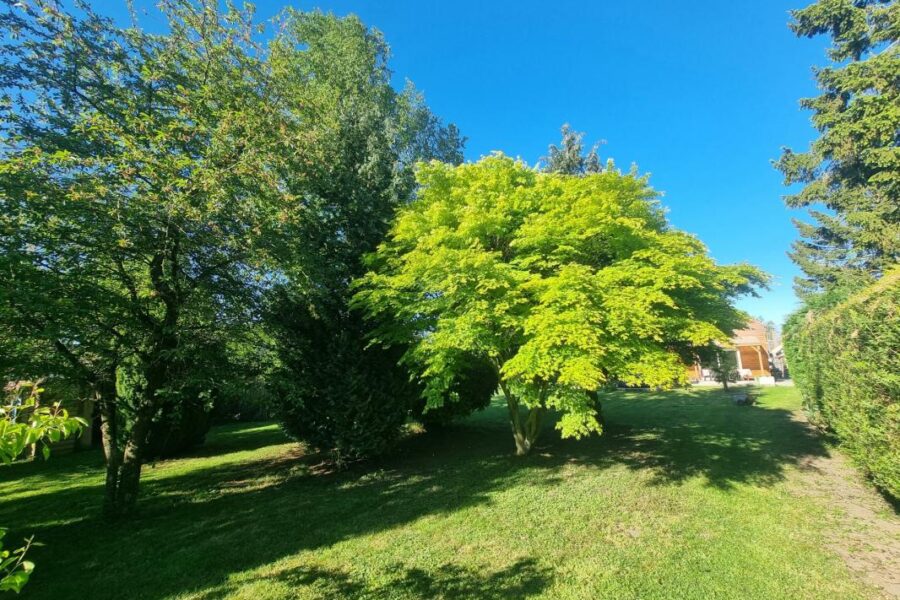 Maison à vendre à Maretz