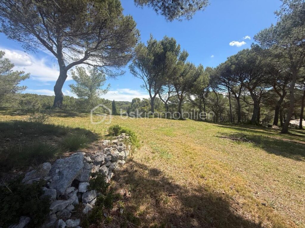 Rare à la vente – Maison de plain-pied avec vue dominante et cadre naturel unique – 6 pièces – 5 chambres – 155 m²