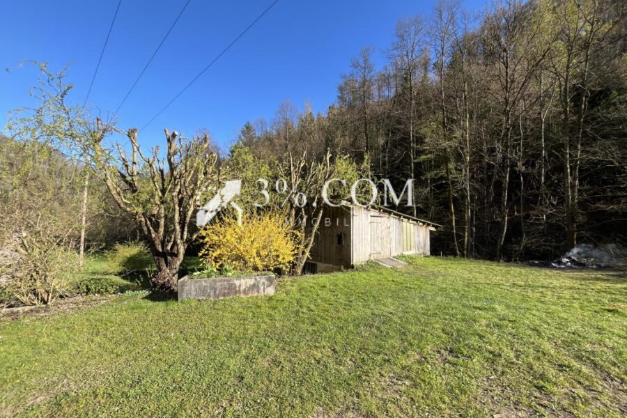 Maison à vendre à Sainte croix aux mines — Vue nature — photo 8