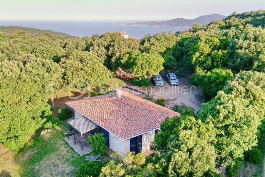 Maison à vendre à Albitreccia