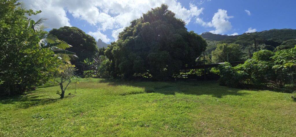 Grand terrain constructible – NR pièces – NR chambres – 4985 m²