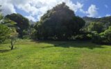 Grand terrain constructible – NR pièces – NR chambres – 4985 m²