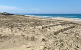 Appartement en location vacances