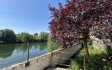 Maison à vendre à Laroche saint cydroine — Vue nature — photo 19