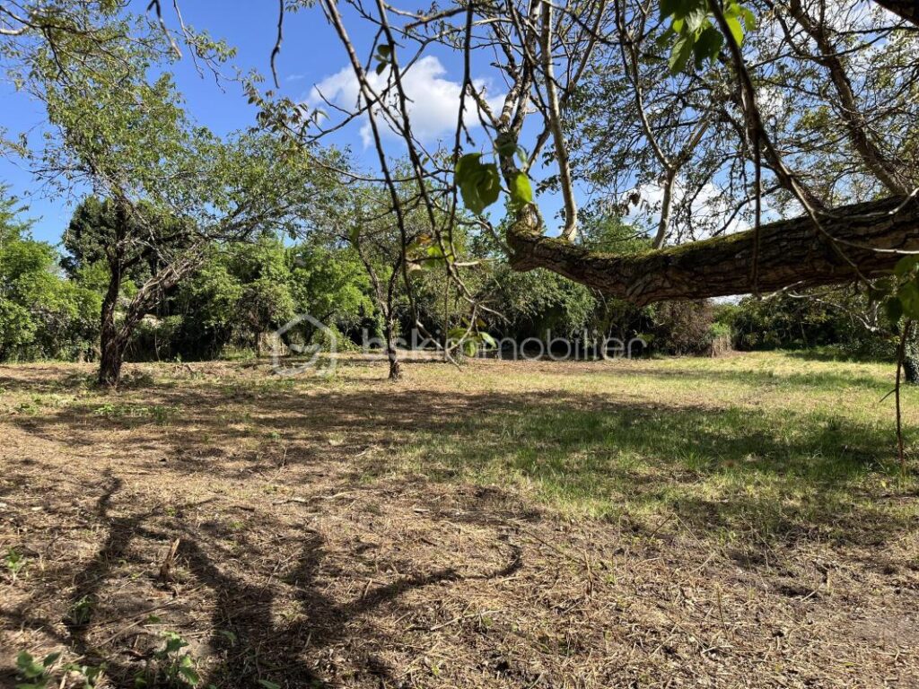 Terrain offrant : Vue dégagée, Calme et Tranquillité – NR pièces – NR chambres – 1860 m²
