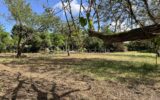 Terrain offrant : Vue dégagée, Calme et Tranquillité – NR pièces – NR chambres – 1860 m²