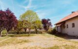Propriété d&rsquo;exception avec 4362 m² de terrain, extensible à plus de 8200 m² avec partie constructible – 8 pièces – 4 chambres – 131 m²