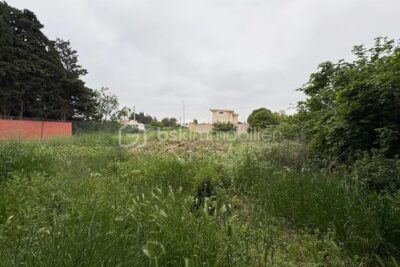Terrain à vendre à Millas
