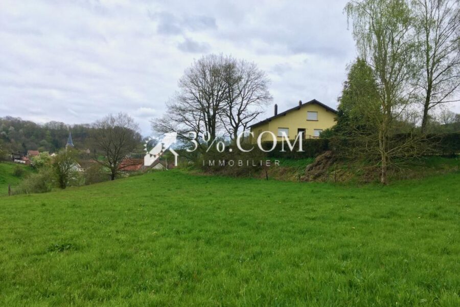 Terrain à vendre à Walschbronn