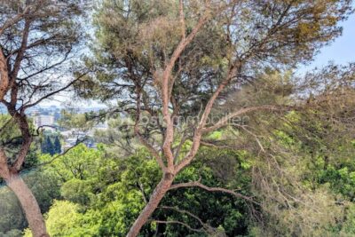 Appartement à vendre à Cannes