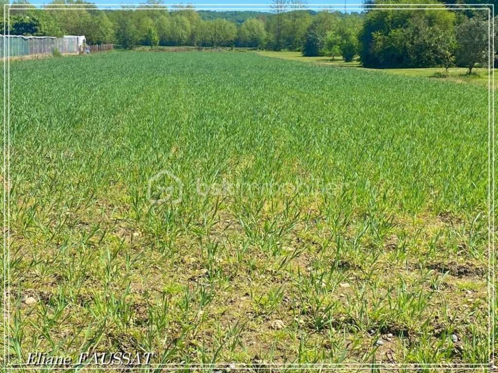 Optimisez le potentiel de votre futur projet immobilier à LALOUBERE – NR pièces – NR chambres – 700 m²