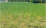 Optimisez le potentiel de votre futur projet immobilier à LALOUBERE – NR pièces – NR chambres – 700 m²