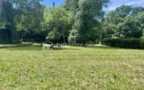 Villa T3 de 63 m2 pleine de potentiel – Saint-Paul-en-Forêt – Terrain de 2000 m2 – 3 pièces – 2 chambres – 63 m²