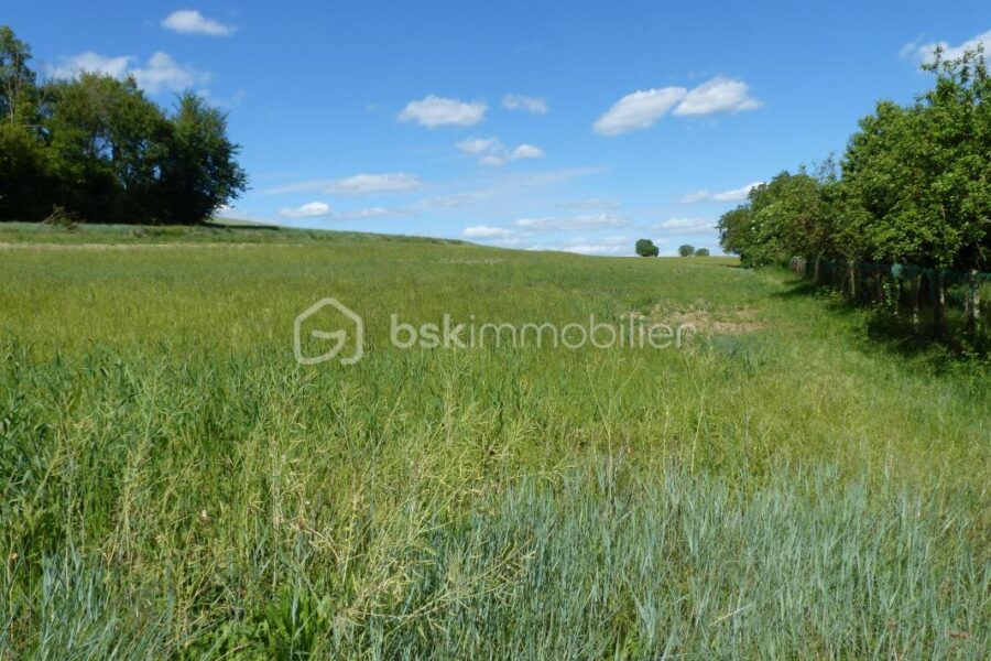 Terrain à vendre à Charbuy