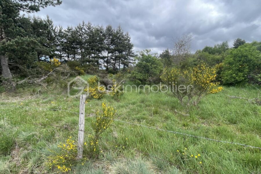 Terrain à vendre à Saint alban sur limagnole