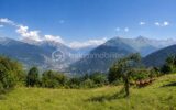 TERRAIN CONSTRUCTIBLE AVEC PROJET HAUT DE GAMME ET PANORAMA UNIQUE – NR pièces – NR chambres – 670 m²