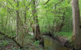 Terrain à vendre à Pouru aux bois