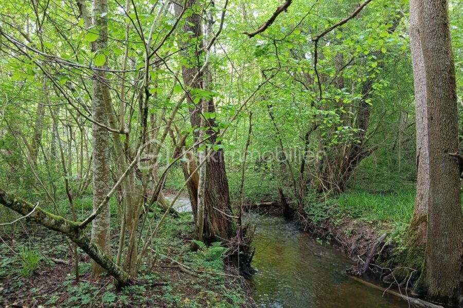 Terrain à vendre à Pouru aux bois