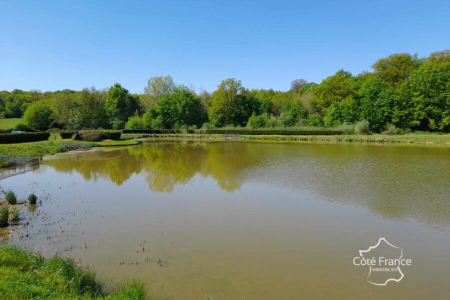 Terrain à vendre à Feron