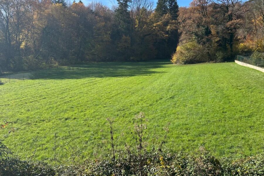 Terrain à vendre à Lougres