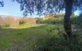 Terrain à vendre à Clermont l herault