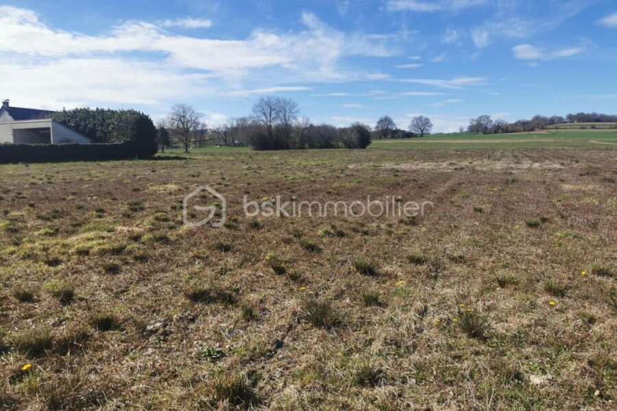 Terrain à vendre à Lespouey