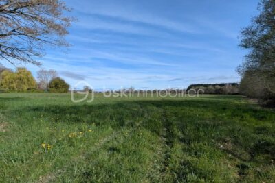 Terrain à vendre à Morlaas