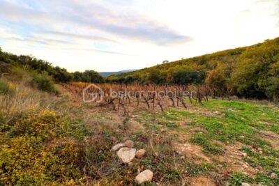 Terrain à vendre à Le bosc