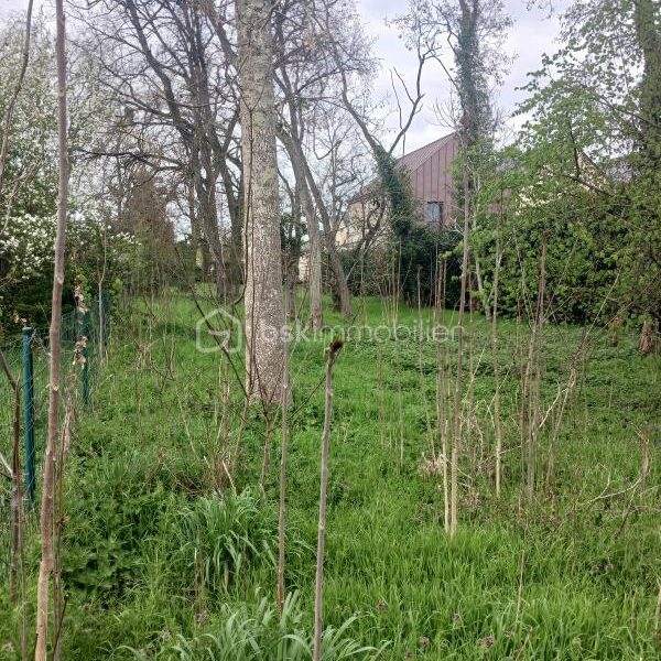 Terrain à vendre à Montlouis sur loire