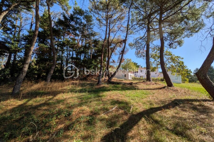 Maison à vendre à La chapelle basse mer — Vue nature — photo 3