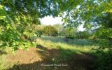 Terrain à vendre à Migne auxances