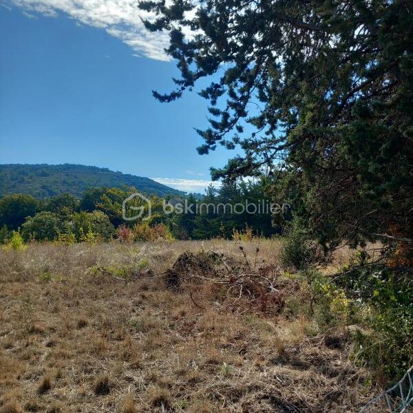 Terrain à vendre à Clermont l herault