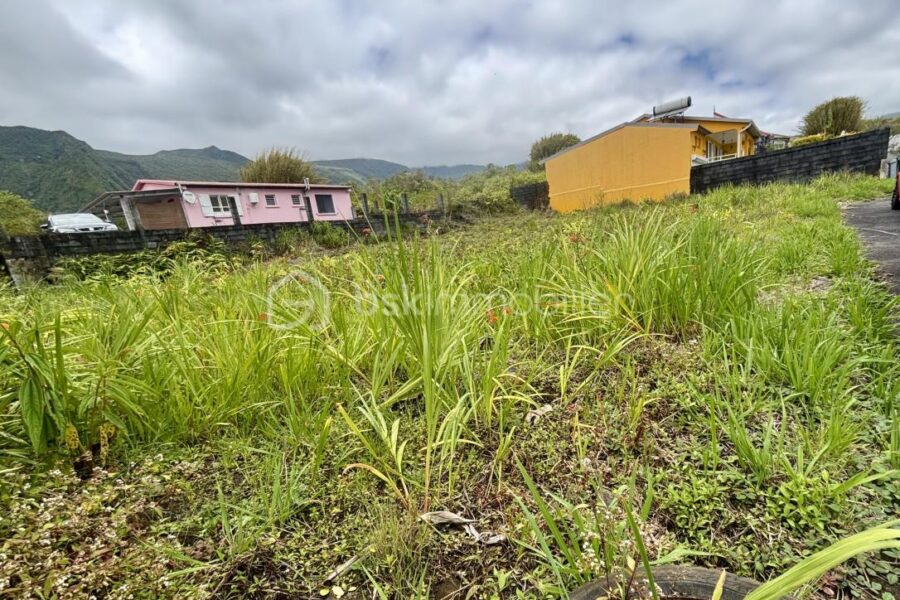 Terrain à vendre à La plaine des palmistes