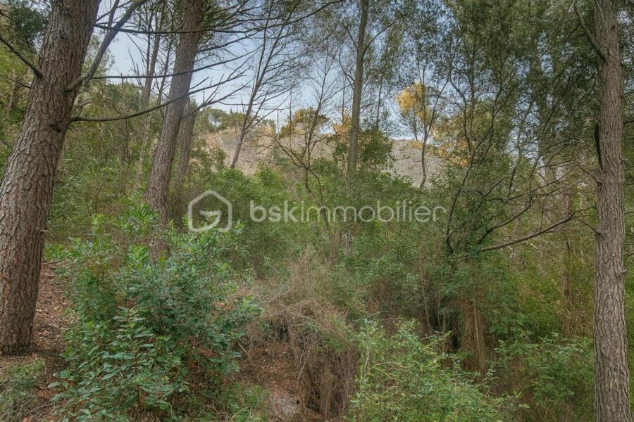 Terrain à vendre à La cadiere d azur