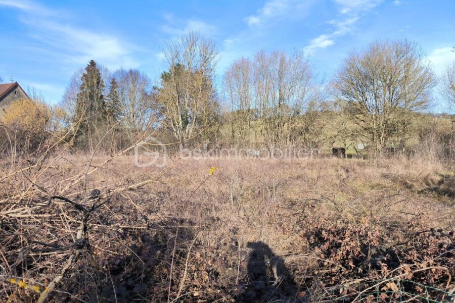 Terrain à vendre à Fournaudin