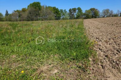 Terrain à vendre à Leren