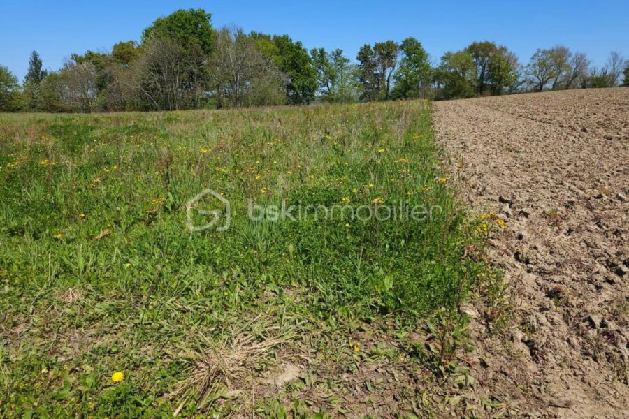 Terrain à vendre à Leren